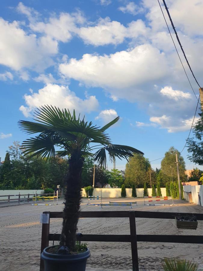 Farm Stay Nh Stables Nyrany Dış mekan fotoğraf