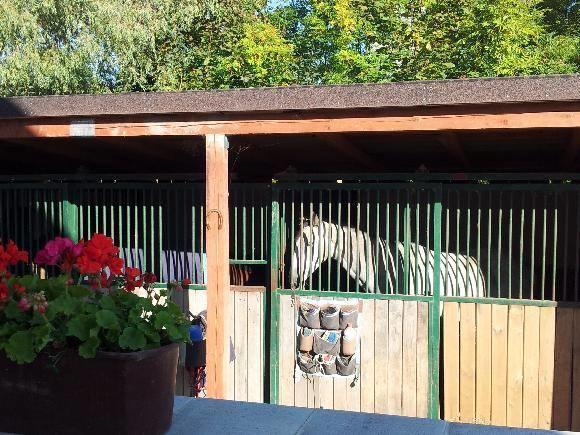 Farm Stay Nh Stables Nyrany Dış mekan fotoğraf