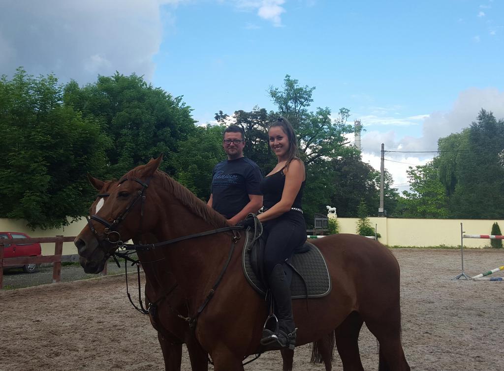 Farm Stay Nh Stables Nyrany Dış mekan fotoğraf