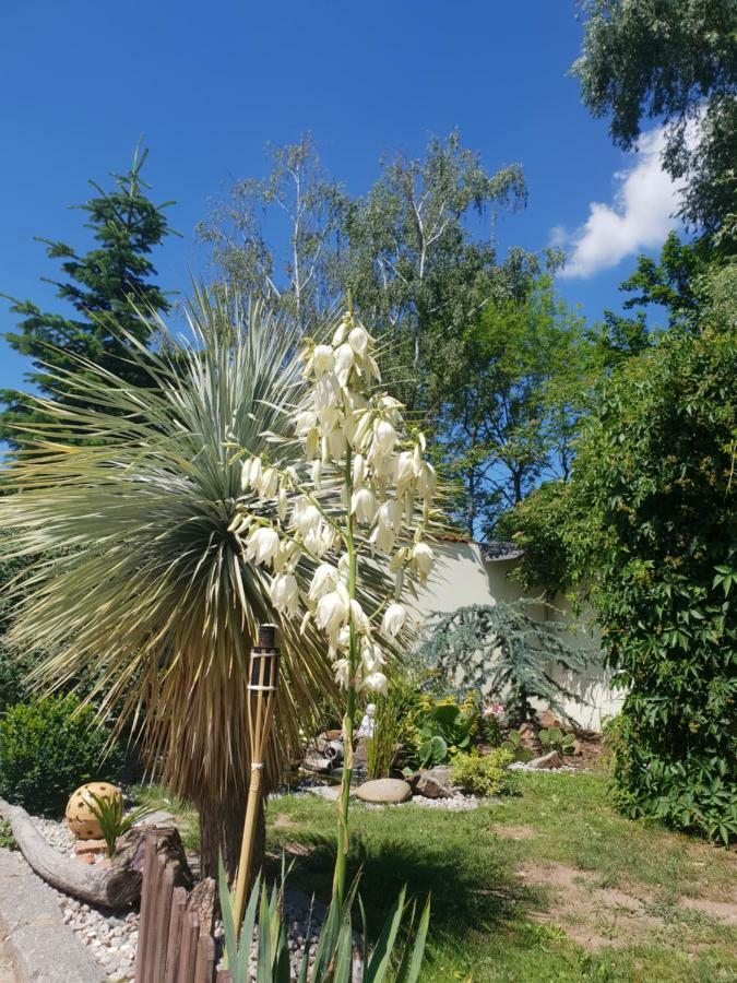 Farm Stay Nh Stables Nyrany Dış mekan fotoğraf