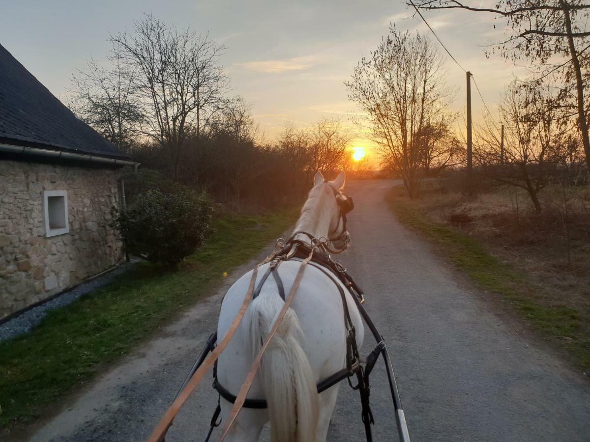 Farm Stay Nh Stables Nyrany Dış mekan fotoğraf