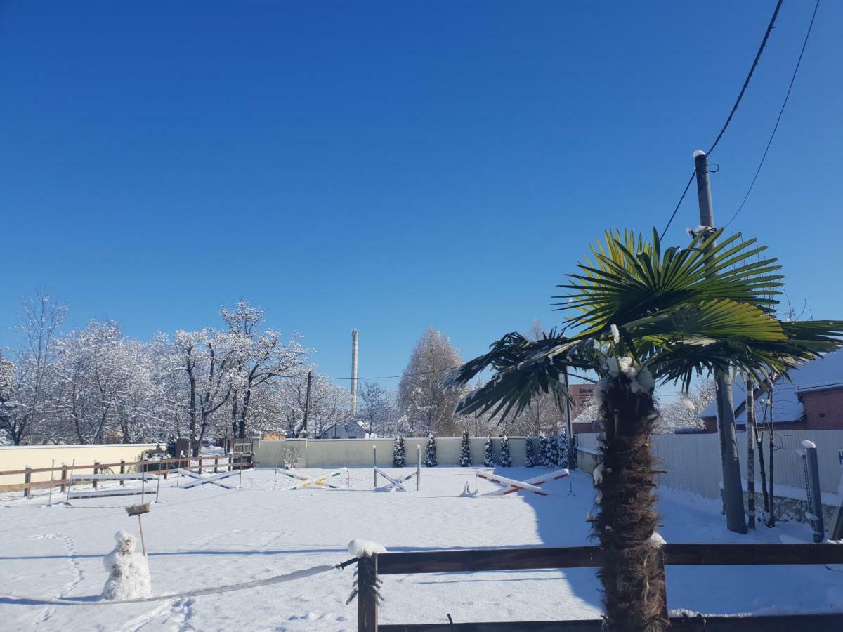 Farm Stay Nh Stables Nyrany Dış mekan fotoğraf
