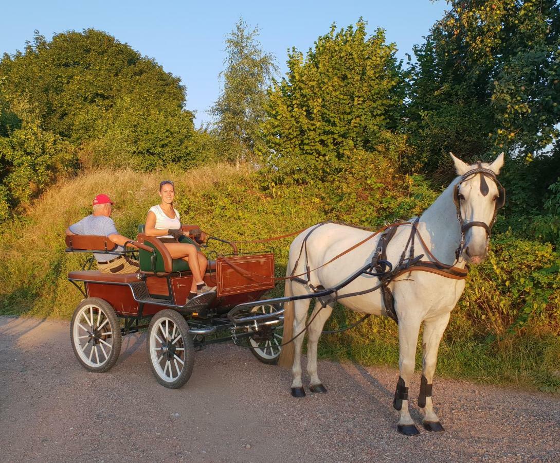 Farm Stay Nh Stables Nyrany Dış mekan fotoğraf